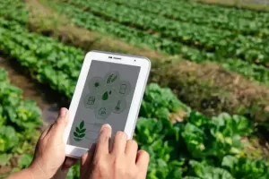 Farm Activity Monitoring Software 