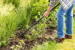 istockphoto-1519589321-612x612